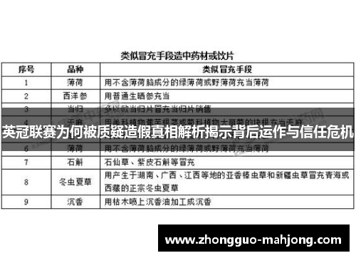 英冠联赛为何被质疑造假真相解析揭示背后运作与信任危机