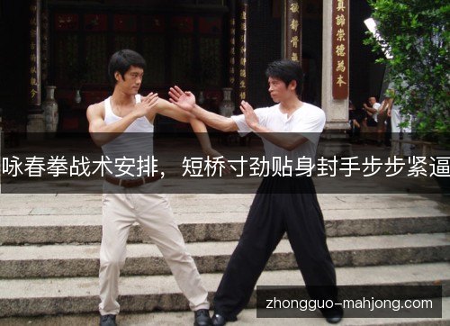 咏春拳战术安排，短桥寸劲贴身封手步步紧逼