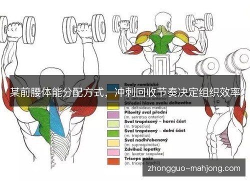 某前腰体能分配方式，冲刺回收节奏决定组织效率